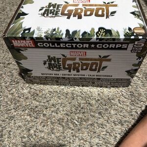 Marvel 'We Are Groot' Mystery Box with Green and Brown Accents
